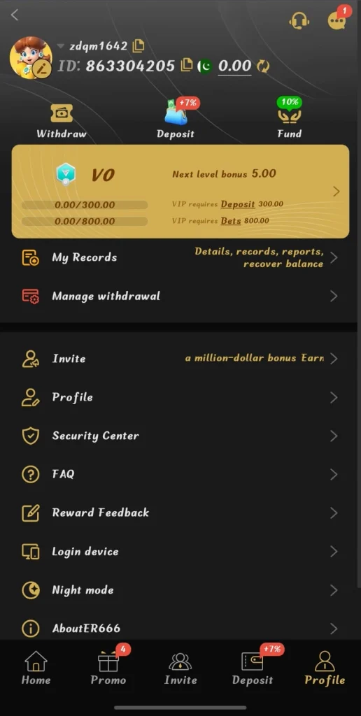 ER666 Game